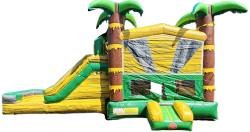 Green and Yellow Tropical Combo